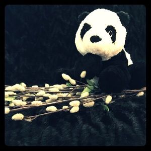 Panda doll and panda bag.